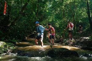 BIB: 
                            <button type="button" onclick="openModal(26783032)" class="btn btn-primary btn-sm float-right btn-popup" data-toggle="modal" data-target=".modal-high-quality">
                        <i class="fas fa-shopping-cart"></i> Add to Cart
                    </button>
                                            <button type="button" onclick="isThisMe(26783032, true)" class="btn btn-success btn-sm float-right btn-popup btn-isme hidden" data-toggle="tooltip" data-placement="bottom" title="นี่คือรูปของคุณใช่ไหม คลิกที่นี่เพื่อเอาเข้าอัลบั้ม">
                        <i class="fas fa-plus"></i> Add to album
                    </button>
                    <button type="button" onclick="isThisMe(26783032, false)" class="btn btn-warning btn-sm float-right btn-popup btn-isnotme hidden">
                        <i class="fas fa-ban"></i> Remove from album
                    </button>