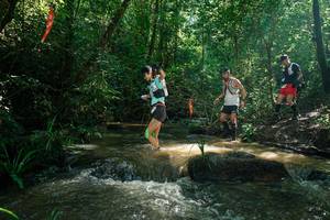 BIB: 
                            <button type="button" onclick="openModal(26779758)" class="btn btn-primary btn-sm float-right btn-popup" data-toggle="modal" data-target=".modal-high-quality">
                        <i class="fas fa-shopping-cart"></i> Add to Cart
                    </button>
                                            <button type="button" onclick="isThisMe(26779758, true)" class="btn btn-success btn-sm float-right btn-popup btn-isme hidden" data-toggle="tooltip" data-placement="bottom" title="นี่คือรูปของคุณใช่ไหม คลิกที่นี่เพื่อเอาเข้าอัลบั้ม">
                        <i class="fas fa-plus"></i> Add to album
                    </button>
                    <button type="button" onclick="isThisMe(26779758, false)" class="btn btn-warning btn-sm float-right btn-popup btn-isnotme hidden">
                        <i class="fas fa-ban"></i> Remove from album
                    </button>