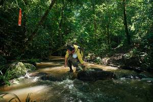 BIB: 
                            <button type="button" onclick="openModal(26782870)" class="btn btn-primary btn-sm float-right btn-popup" data-toggle="modal" data-target=".modal-high-quality">
                        <i class="fas fa-shopping-cart"></i> Add to Cart
                    </button>
                                            <button type="button" onclick="isThisMe(26782870, true)" class="btn btn-success btn-sm float-right btn-popup btn-isme hidden" data-toggle="tooltip" data-placement="bottom" title="นี่คือรูปของคุณใช่ไหม คลิกที่นี่เพื่อเอาเข้าอัลบั้ม">
                        <i class="fas fa-plus"></i> Add to album
                    </button>
                    <button type="button" onclick="isThisMe(26782870, false)" class="btn btn-warning btn-sm float-right btn-popup btn-isnotme hidden">
                        <i class="fas fa-ban"></i> Remove from album
                    </button>