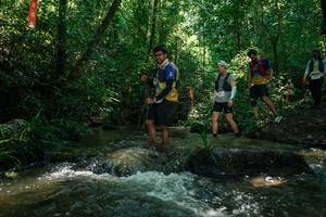 BIB: 
                            <button type="button" onclick="openModal(26778227)" class="btn btn-primary btn-sm float-right btn-popup" data-toggle="modal" data-target=".modal-high-quality">
                        <i class="fas fa-shopping-cart"></i> Add to Cart
                    </button>
                                            <button type="button" onclick="isThisMe(26778227, true)" class="btn btn-success btn-sm float-right btn-popup btn-isme hidden" data-toggle="tooltip" data-placement="bottom" title="นี่คือรูปของคุณใช่ไหม คลิกที่นี่เพื่อเอาเข้าอัลบั้ม">
                        <i class="fas fa-plus"></i> Add to album
                    </button>
                    <button type="button" onclick="isThisMe(26778227, false)" class="btn btn-warning btn-sm float-right btn-popup btn-isnotme hidden">
                        <i class="fas fa-ban"></i> Remove from album
                    </button>