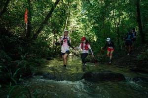 BIB: 
                            <button type="button" onclick="openModal(26784921)" class="btn btn-primary btn-sm float-right btn-popup" data-toggle="modal" data-target=".modal-high-quality">
                        <i class="fas fa-shopping-cart"></i> Add to Cart
                    </button>
                                            <button type="button" onclick="isThisMe(26784921, true)" class="btn btn-success btn-sm float-right btn-popup btn-isme hidden" data-toggle="tooltip" data-placement="bottom" title="นี่คือรูปของคุณใช่ไหม คลิกที่นี่เพื่อเอาเข้าอัลบั้ม">
                        <i class="fas fa-plus"></i> Add to album
                    </button>
                    <button type="button" onclick="isThisMe(26784921, false)" class="btn btn-warning btn-sm float-right btn-popup btn-isnotme hidden">
                        <i class="fas fa-ban"></i> Remove from album
                    </button>