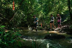 BIB: 
                            <button type="button" onclick="openModal(26783747)" class="btn btn-primary btn-sm float-right btn-popup" data-toggle="modal" data-target=".modal-high-quality">
                        <i class="fas fa-shopping-cart"></i> Add to Cart
                    </button>
                                            <button type="button" onclick="isThisMe(26783747, true)" class="btn btn-success btn-sm float-right btn-popup btn-isme hidden" data-toggle="tooltip" data-placement="bottom" title="นี่คือรูปของคุณใช่ไหม คลิกที่นี่เพื่อเอาเข้าอัลบั้ม">
                        <i class="fas fa-plus"></i> Add to album
                    </button>
                    <button type="button" onclick="isThisMe(26783747, false)" class="btn btn-warning btn-sm float-right btn-popup btn-isnotme hidden">
                        <i class="fas fa-ban"></i> Remove from album
                    </button>