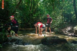 BIB: 
                            <button type="button" onclick="openModal(26782065)" class="btn btn-primary btn-sm float-right btn-popup" data-toggle="modal" data-target=".modal-high-quality">
                        <i class="fas fa-shopping-cart"></i> Add to Cart
                    </button>
                                            <button type="button" onclick="isThisMe(26782065, true)" class="btn btn-success btn-sm float-right btn-popup btn-isme hidden" data-toggle="tooltip" data-placement="bottom" title="นี่คือรูปของคุณใช่ไหม คลิกที่นี่เพื่อเอาเข้าอัลบั้ม">
                        <i class="fas fa-plus"></i> Add to album
                    </button>
                    <button type="button" onclick="isThisMe(26782065, false)" class="btn btn-warning btn-sm float-right btn-popup btn-isnotme hidden">
                        <i class="fas fa-ban"></i> Remove from album
                    </button>