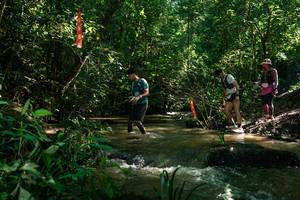 BIB: 
                            <button type="button" onclick="openModal(26783755)" class="btn btn-primary btn-sm float-right btn-popup" data-toggle="modal" data-target=".modal-high-quality">
                        <i class="fas fa-shopping-cart"></i> Add to Cart
                    </button>
                                            <button type="button" onclick="isThisMe(26783755, true)" class="btn btn-success btn-sm float-right btn-popup btn-isme hidden" data-toggle="tooltip" data-placement="bottom" title="นี่คือรูปของคุณใช่ไหม คลิกที่นี่เพื่อเอาเข้าอัลบั้ม">
                        <i class="fas fa-plus"></i> Add to album
                    </button>
                    <button type="button" onclick="isThisMe(26783755, false)" class="btn btn-warning btn-sm float-right btn-popup btn-isnotme hidden">
                        <i class="fas fa-ban"></i> Remove from album
                    </button>