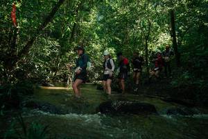 BIB: 
                            <button type="button" onclick="openModal(26784505)" class="btn btn-primary btn-sm float-right btn-popup" data-toggle="modal" data-target=".modal-high-quality">
                        <i class="fas fa-shopping-cart"></i> Add to Cart
                    </button>
                                            <button type="button" onclick="isThisMe(26784505, true)" class="btn btn-success btn-sm float-right btn-popup btn-isme hidden" data-toggle="tooltip" data-placement="bottom" title="นี่คือรูปของคุณใช่ไหม คลิกที่นี่เพื่อเอาเข้าอัลบั้ม">
                        <i class="fas fa-plus"></i> Add to album
                    </button>
                    <button type="button" onclick="isThisMe(26784505, false)" class="btn btn-warning btn-sm float-right btn-popup btn-isnotme hidden">
                        <i class="fas fa-ban"></i> Remove from album
                    </button>