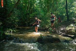 BIB: 
                            <button type="button" onclick="openModal(26781964)" class="btn btn-primary btn-sm float-right btn-popup" data-toggle="modal" data-target=".modal-high-quality">
                        <i class="fas fa-shopping-cart"></i> Add to Cart
                    </button>
                                            <button type="button" onclick="isThisMe(26781964, true)" class="btn btn-success btn-sm float-right btn-popup btn-isme hidden" data-toggle="tooltip" data-placement="bottom" title="นี่คือรูปของคุณใช่ไหม คลิกที่นี่เพื่อเอาเข้าอัลบั้ม">
                        <i class="fas fa-plus"></i> Add to album
                    </button>
                    <button type="button" onclick="isThisMe(26781964, false)" class="btn btn-warning btn-sm float-right btn-popup btn-isnotme hidden">
                        <i class="fas fa-ban"></i> Remove from album
                    </button>