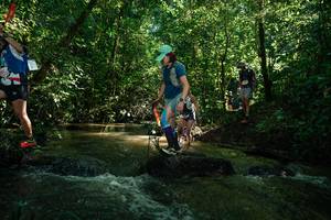 BIB: 
                            <button type="button" onclick="openModal(26784054)" class="btn btn-primary btn-sm float-right btn-popup" data-toggle="modal" data-target=".modal-high-quality">
                        <i class="fas fa-shopping-cart"></i> Add to Cart
                    </button>
                                            <button type="button" onclick="isThisMe(26784054, true)" class="btn btn-success btn-sm float-right btn-popup btn-isme hidden" data-toggle="tooltip" data-placement="bottom" title="นี่คือรูปของคุณใช่ไหม คลิกที่นี่เพื่อเอาเข้าอัลบั้ม">
                        <i class="fas fa-plus"></i> Add to album
                    </button>
                    <button type="button" onclick="isThisMe(26784054, false)" class="btn btn-warning btn-sm float-right btn-popup btn-isnotme hidden">
                        <i class="fas fa-ban"></i> Remove from album
                    </button>