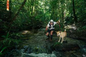 BIB: 
                            <button type="button" onclick="openModal(26678054)" class="btn btn-primary btn-sm float-right btn-popup" data-toggle="modal" data-target=".modal-high-quality">
                        <i class="fas fa-shopping-cart"></i> Add to Cart
                    </button>
                                            <button type="button" onclick="isThisMe(26678054, true)" class="btn btn-success btn-sm float-right btn-popup btn-isme hidden" data-toggle="tooltip" data-placement="bottom" title="นี่คือรูปของคุณใช่ไหม คลิกที่นี่เพื่อเอาเข้าอัลบั้ม">
                        <i class="fas fa-plus"></i> Add to album
                    </button>
                    <button type="button" onclick="isThisMe(26678054, false)" class="btn btn-warning btn-sm float-right btn-popup btn-isnotme hidden">
                        <i class="fas fa-ban"></i> Remove from album
                    </button>