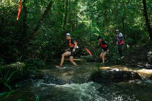 BIB: 
                            <button type="button" onclick="openModal(26778904)" class="btn btn-primary btn-sm float-right btn-popup" data-toggle="modal" data-target=".modal-high-quality">
                        <i class="fas fa-shopping-cart"></i> Add to Cart
                    </button>
                                            <button type="button" onclick="isThisMe(26778904, true)" class="btn btn-success btn-sm float-right btn-popup btn-isme hidden" data-toggle="tooltip" data-placement="bottom" title="นี่คือรูปของคุณใช่ไหม คลิกที่นี่เพื่อเอาเข้าอัลบั้ม">
                        <i class="fas fa-plus"></i> Add to album
                    </button>
                    <button type="button" onclick="isThisMe(26778904, false)" class="btn btn-warning btn-sm float-right btn-popup btn-isnotme hidden">
                        <i class="fas fa-ban"></i> Remove from album
                    </button>