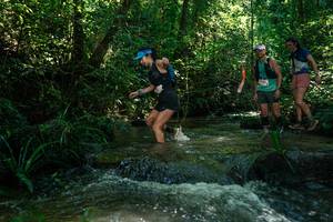 BIB: 
                            <button type="button" onclick="openModal(26777404)" class="btn btn-primary btn-sm float-right btn-popup" data-toggle="modal" data-target=".modal-high-quality">
                        <i class="fas fa-shopping-cart"></i> Add to Cart
                    </button>
                                            <button type="button" onclick="isThisMe(26777404, true)" class="btn btn-success btn-sm float-right btn-popup btn-isme hidden" data-toggle="tooltip" data-placement="bottom" title="นี่คือรูปของคุณใช่ไหม คลิกที่นี่เพื่อเอาเข้าอัลบั้ม">
                        <i class="fas fa-plus"></i> Add to album
                    </button>
                    <button type="button" onclick="isThisMe(26777404, false)" class="btn btn-warning btn-sm float-right btn-popup btn-isnotme hidden">
                        <i class="fas fa-ban"></i> Remove from album
                    </button>