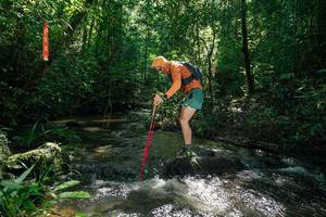 BIB: 
                            <button type="button" onclick="openModal(26685205)" class="btn btn-primary btn-sm float-right btn-popup" data-toggle="modal" data-target=".modal-high-quality">
                        <i class="fas fa-shopping-cart"></i> Add to Cart
                    </button>
                                            <button type="button" onclick="isThisMe(26685205, true)" class="btn btn-success btn-sm float-right btn-popup btn-isme hidden" data-toggle="tooltip" data-placement="bottom" title="นี่คือรูปของคุณใช่ไหม คลิกที่นี่เพื่อเอาเข้าอัลบั้ม">
                        <i class="fas fa-plus"></i> Add to album
                    </button>
                    <button type="button" onclick="isThisMe(26685205, false)" class="btn btn-warning btn-sm float-right btn-popup btn-isnotme hidden">
                        <i class="fas fa-ban"></i> Remove from album
                    </button>