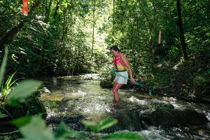 BIB: 
                            <button type="button" onclick="openModal(26653650)" class="btn btn-primary btn-sm float-right btn-popup" data-toggle="modal" data-target=".modal-high-quality">
                        <i class="fas fa-shopping-cart"></i> Add to Cart
                    </button>
                                            <button type="button" onclick="isThisMe(26653650, true)" class="btn btn-success btn-sm float-right btn-popup btn-isme hidden" data-toggle="tooltip" data-placement="bottom" title="นี่คือรูปของคุณใช่ไหม คลิกที่นี่เพื่อเอาเข้าอัลบั้ม">
                        <i class="fas fa-plus"></i> Add to album
                    </button>
                    <button type="button" onclick="isThisMe(26653650, false)" class="btn btn-warning btn-sm float-right btn-popup btn-isnotme hidden">
                        <i class="fas fa-ban"></i> Remove from album
                    </button>