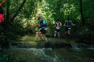 BIB: 
                            <button type="button" onclick="openModal(26784936)" class="btn btn-primary btn-sm float-right btn-popup" data-toggle="modal" data-target=".modal-high-quality">
                        <i class="fas fa-shopping-cart"></i> Add to Cart
                    </button>
                                            <button type="button" onclick="isThisMe(26784936, true)" class="btn btn-success btn-sm float-right btn-popup btn-isme hidden" data-toggle="tooltip" data-placement="bottom" title="นี่คือรูปของคุณใช่ไหม คลิกที่นี่เพื่อเอาเข้าอัลบั้ม">
                        <i class="fas fa-plus"></i> Add to album
                    </button>
                    <button type="button" onclick="isThisMe(26784936, false)" class="btn btn-warning btn-sm float-right btn-popup btn-isnotme hidden">
                        <i class="fas fa-ban"></i> Remove from album
                    </button>