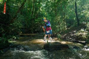 BIB: 
                            <button type="button" onclick="openModal(26779879)" class="btn btn-primary btn-sm float-right btn-popup" data-toggle="modal" data-target=".modal-high-quality">
                        <i class="fas fa-shopping-cart"></i> Add to Cart
                    </button>
                                            <button type="button" onclick="isThisMe(26779879, true)" class="btn btn-success btn-sm float-right btn-popup btn-isme hidden" data-toggle="tooltip" data-placement="bottom" title="นี่คือรูปของคุณใช่ไหม คลิกที่นี่เพื่อเอาเข้าอัลบั้ม">
                        <i class="fas fa-plus"></i> Add to album
                    </button>
                    <button type="button" onclick="isThisMe(26779879, false)" class="btn btn-warning btn-sm float-right btn-popup btn-isnotme hidden">
                        <i class="fas fa-ban"></i> Remove from album
                    </button>