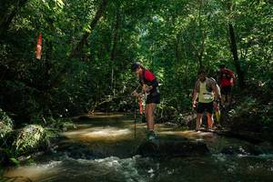 BIB: 
                            <button type="button" onclick="openModal(26783130)" class="btn btn-primary btn-sm float-right btn-popup" data-toggle="modal" data-target=".modal-high-quality">
                        <i class="fas fa-shopping-cart"></i> Add to Cart
                    </button>
                                            <button type="button" onclick="isThisMe(26783130, true)" class="btn btn-success btn-sm float-right btn-popup btn-isme hidden" data-toggle="tooltip" data-placement="bottom" title="นี่คือรูปของคุณใช่ไหม คลิกที่นี่เพื่อเอาเข้าอัลบั้ม">
                        <i class="fas fa-plus"></i> Add to album
                    </button>
                    <button type="button" onclick="isThisMe(26783130, false)" class="btn btn-warning btn-sm float-right btn-popup btn-isnotme hidden">
                        <i class="fas fa-ban"></i> Remove from album
                    </button>