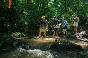 BIB: 
                            <button type="button" onclick="openModal(26782131)" class="btn btn-primary btn-sm float-right btn-popup" data-toggle="modal" data-target=".modal-high-quality">
                        <i class="fas fa-shopping-cart"></i> Add to Cart
                    </button>
                                            <button type="button" onclick="isThisMe(26782131, true)" class="btn btn-success btn-sm float-right btn-popup btn-isme hidden" data-toggle="tooltip" data-placement="bottom" title="นี่คือรูปของคุณใช่ไหม คลิกที่นี่เพื่อเอาเข้าอัลบั้ม">
                        <i class="fas fa-plus"></i> Add to album
                    </button>
                    <button type="button" onclick="isThisMe(26782131, false)" class="btn btn-warning btn-sm float-right btn-popup btn-isnotme hidden">
                        <i class="fas fa-ban"></i> Remove from album
                    </button>