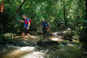 BIB: 
                            <button type="button" onclick="openModal(26782344)" class="btn btn-primary btn-sm float-right btn-popup" data-toggle="modal" data-target=".modal-high-quality">
                        <i class="fas fa-shopping-cart"></i> Add to Cart
                    </button>
                                            <button type="button" onclick="isThisMe(26782344, true)" class="btn btn-success btn-sm float-right btn-popup btn-isme hidden" data-toggle="tooltip" data-placement="bottom" title="นี่คือรูปของคุณใช่ไหม คลิกที่นี่เพื่อเอาเข้าอัลบั้ม">
                        <i class="fas fa-plus"></i> Add to album
                    </button>
                    <button type="button" onclick="isThisMe(26782344, false)" class="btn btn-warning btn-sm float-right btn-popup btn-isnotme hidden">
                        <i class="fas fa-ban"></i> Remove from album
                    </button>