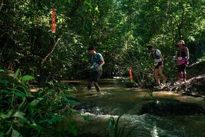 BIB: 
                            <button type="button" onclick="openModal(26783748)" class="btn btn-primary btn-sm float-right btn-popup" data-toggle="modal" data-target=".modal-high-quality">
                        <i class="fas fa-shopping-cart"></i> Add to Cart
                    </button>
                                            <button type="button" onclick="isThisMe(26783748, true)" class="btn btn-success btn-sm float-right btn-popup btn-isme hidden" data-toggle="tooltip" data-placement="bottom" title="นี่คือรูปของคุณใช่ไหม คลิกที่นี่เพื่อเอาเข้าอัลบั้ม">
                        <i class="fas fa-plus"></i> Add to album
                    </button>
                    <button type="button" onclick="isThisMe(26783748, false)" class="btn btn-warning btn-sm float-right btn-popup btn-isnotme hidden">
                        <i class="fas fa-ban"></i> Remove from album
                    </button>