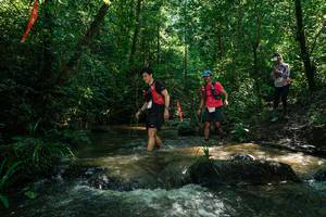 BIB: 
                            <button type="button" onclick="openModal(26779123)" class="btn btn-primary btn-sm float-right btn-popup" data-toggle="modal" data-target=".modal-high-quality">
                        <i class="fas fa-shopping-cart"></i> Add to Cart
                    </button>
                                            <button type="button" onclick="isThisMe(26779123, true)" class="btn btn-success btn-sm float-right btn-popup btn-isme hidden" data-toggle="tooltip" data-placement="bottom" title="นี่คือรูปของคุณใช่ไหม คลิกที่นี่เพื่อเอาเข้าอัลบั้ม">
                        <i class="fas fa-plus"></i> Add to album
                    </button>
                    <button type="button" onclick="isThisMe(26779123, false)" class="btn btn-warning btn-sm float-right btn-popup btn-isnotme hidden">
                        <i class="fas fa-ban"></i> Remove from album
                    </button>