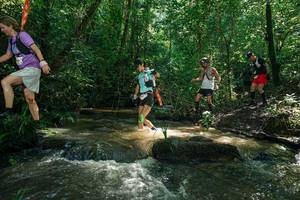 BIB: 
                            <button type="button" onclick="openModal(26779750)" class="btn btn-primary btn-sm float-right btn-popup" data-toggle="modal" data-target=".modal-high-quality">
                        <i class="fas fa-shopping-cart"></i> Add to Cart
                    </button>
                                            <button type="button" onclick="isThisMe(26779750, true)" class="btn btn-success btn-sm float-right btn-popup btn-isme hidden" data-toggle="tooltip" data-placement="bottom" title="นี่คือรูปของคุณใช่ไหม คลิกที่นี่เพื่อเอาเข้าอัลบั้ม">
                        <i class="fas fa-plus"></i> Add to album
                    </button>
                    <button type="button" onclick="isThisMe(26779750, false)" class="btn btn-warning btn-sm float-right btn-popup btn-isnotme hidden">
                        <i class="fas fa-ban"></i> Remove from album
                    </button>