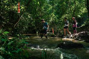 BIB: 
                            <button type="button" onclick="openModal(26783750)" class="btn btn-primary btn-sm float-right btn-popup" data-toggle="modal" data-target=".modal-high-quality">
                        <i class="fas fa-shopping-cart"></i> Add to Cart
                    </button>
                                            <button type="button" onclick="isThisMe(26783750, true)" class="btn btn-success btn-sm float-right btn-popup btn-isme hidden" data-toggle="tooltip" data-placement="bottom" title="นี่คือรูปของคุณใช่ไหม คลิกที่นี่เพื่อเอาเข้าอัลบั้ม">
                        <i class="fas fa-plus"></i> Add to album
                    </button>
                    <button type="button" onclick="isThisMe(26783750, false)" class="btn btn-warning btn-sm float-right btn-popup btn-isnotme hidden">
                        <i class="fas fa-ban"></i> Remove from album
                    </button>