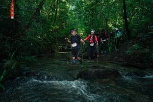 BIB: 
                            <button type="button" onclick="openModal(26785917)" class="btn btn-primary btn-sm float-right btn-popup" data-toggle="modal" data-target=".modal-high-quality">
                        <i class="fas fa-shopping-cart"></i> Add to Cart
                    </button>
                                            <button type="button" onclick="isThisMe(26785917, true)" class="btn btn-success btn-sm float-right btn-popup btn-isme hidden" data-toggle="tooltip" data-placement="bottom" title="นี่คือรูปของคุณใช่ไหม คลิกที่นี่เพื่อเอาเข้าอัลบั้ม">
                        <i class="fas fa-plus"></i> Add to album
                    </button>
                    <button type="button" onclick="isThisMe(26785917, false)" class="btn btn-warning btn-sm float-right btn-popup btn-isnotme hidden">
                        <i class="fas fa-ban"></i> Remove from album
                    </button>