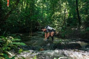 BIB: 
                            <button type="button" onclick="openModal(26683053)" class="btn btn-primary btn-sm float-right btn-popup" data-toggle="modal" data-target=".modal-high-quality">
                        <i class="fas fa-shopping-cart"></i> Add to Cart
                    </button>
                                            <button type="button" onclick="isThisMe(26683053, true)" class="btn btn-success btn-sm float-right btn-popup btn-isme hidden" data-toggle="tooltip" data-placement="bottom" title="นี่คือรูปของคุณใช่ไหม คลิกที่นี่เพื่อเอาเข้าอัลบั้ม">
                        <i class="fas fa-plus"></i> Add to album
                    </button>
                    <button type="button" onclick="isThisMe(26683053, false)" class="btn btn-warning btn-sm float-right btn-popup btn-isnotme hidden">
                        <i class="fas fa-ban"></i> Remove from album
                    </button>