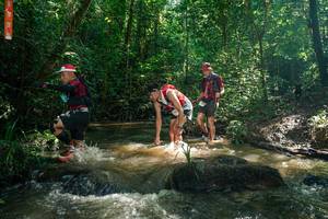 BIB: 
                            <button type="button" onclick="openModal(26782063)" class="btn btn-primary btn-sm float-right btn-popup" data-toggle="modal" data-target=".modal-high-quality">
                        <i class="fas fa-shopping-cart"></i> Add to Cart
                    </button>
                                            <button type="button" onclick="isThisMe(26782063, true)" class="btn btn-success btn-sm float-right btn-popup btn-isme hidden" data-toggle="tooltip" data-placement="bottom" title="นี่คือรูปของคุณใช่ไหม คลิกที่นี่เพื่อเอาเข้าอัลบั้ม">
                        <i class="fas fa-plus"></i> Add to album
                    </button>
                    <button type="button" onclick="isThisMe(26782063, false)" class="btn btn-warning btn-sm float-right btn-popup btn-isnotme hidden">
                        <i class="fas fa-ban"></i> Remove from album
                    </button>