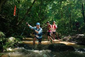 BIB: 
                            <button type="button" onclick="openModal(26783051)" class="btn btn-primary btn-sm float-right btn-popup" data-toggle="modal" data-target=".modal-high-quality">
                        <i class="fas fa-shopping-cart"></i> Add to Cart
                    </button>
                                            <button type="button" onclick="isThisMe(26783051, true)" class="btn btn-success btn-sm float-right btn-popup btn-isme hidden" data-toggle="tooltip" data-placement="bottom" title="นี่คือรูปของคุณใช่ไหม คลิกที่นี่เพื่อเอาเข้าอัลบั้ม">
                        <i class="fas fa-plus"></i> Add to album
                    </button>
                    <button type="button" onclick="isThisMe(26783051, false)" class="btn btn-warning btn-sm float-right btn-popup btn-isnotme hidden">
                        <i class="fas fa-ban"></i> Remove from album
                    </button>