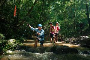 BIB: 
                            <button type="button" onclick="openModal(26783049)" class="btn btn-primary btn-sm float-right btn-popup" data-toggle="modal" data-target=".modal-high-quality">
                        <i class="fas fa-shopping-cart"></i> Add to Cart
                    </button>
                                            <button type="button" onclick="isThisMe(26783049, true)" class="btn btn-success btn-sm float-right btn-popup btn-isme hidden" data-toggle="tooltip" data-placement="bottom" title="นี่คือรูปของคุณใช่ไหม คลิกที่นี่เพื่อเอาเข้าอัลบั้ม">
                        <i class="fas fa-plus"></i> Add to album
                    </button>
                    <button type="button" onclick="isThisMe(26783049, false)" class="btn btn-warning btn-sm float-right btn-popup btn-isnotme hidden">
                        <i class="fas fa-ban"></i> Remove from album
                    </button>