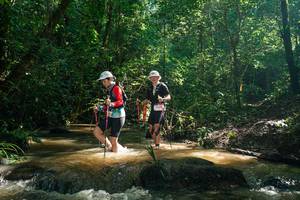 BIB: 
                            <button type="button" onclick="openModal(26783013)" class="btn btn-primary btn-sm float-right btn-popup" data-toggle="modal" data-target=".modal-high-quality">
                        <i class="fas fa-shopping-cart"></i> Add to Cart
                    </button>
                                            <button type="button" onclick="isThisMe(26783013, true)" class="btn btn-success btn-sm float-right btn-popup btn-isme hidden" data-toggle="tooltip" data-placement="bottom" title="นี่คือรูปของคุณใช่ไหม คลิกที่นี่เพื่อเอาเข้าอัลบั้ม">
                        <i class="fas fa-plus"></i> Add to album
                    </button>
                    <button type="button" onclick="isThisMe(26783013, false)" class="btn btn-warning btn-sm float-right btn-popup btn-isnotme hidden">
                        <i class="fas fa-ban"></i> Remove from album
                    </button>