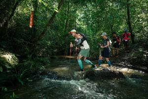 BIB: 
                            <button type="button" onclick="openModal(26779074)" class="btn btn-primary btn-sm float-right btn-popup" data-toggle="modal" data-target=".modal-high-quality">
                        <i class="fas fa-shopping-cart"></i> Add to Cart
                    </button>
                                            <button type="button" onclick="isThisMe(26779074, true)" class="btn btn-success btn-sm float-right btn-popup btn-isme hidden" data-toggle="tooltip" data-placement="bottom" title="นี่คือรูปของคุณใช่ไหม คลิกที่นี่เพื่อเอาเข้าอัลบั้ม">
                        <i class="fas fa-plus"></i> Add to album
                    </button>
                    <button type="button" onclick="isThisMe(26779074, false)" class="btn btn-warning btn-sm float-right btn-popup btn-isnotme hidden">
                        <i class="fas fa-ban"></i> Remove from album
                    </button>