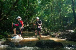 BIB: 
                            <button type="button" onclick="openModal(26783021)" class="btn btn-primary btn-sm float-right btn-popup" data-toggle="modal" data-target=".modal-high-quality">
                        <i class="fas fa-shopping-cart"></i> Add to Cart
                    </button>
                                            <button type="button" onclick="isThisMe(26783021, true)" class="btn btn-success btn-sm float-right btn-popup btn-isme hidden" data-toggle="tooltip" data-placement="bottom" title="นี่คือรูปของคุณใช่ไหม คลิกที่นี่เพื่อเอาเข้าอัลบั้ม">
                        <i class="fas fa-plus"></i> Add to album
                    </button>
                    <button type="button" onclick="isThisMe(26783021, false)" class="btn btn-warning btn-sm float-right btn-popup btn-isnotme hidden">
                        <i class="fas fa-ban"></i> Remove from album
                    </button>