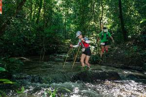 BIB: 
                            <button type="button" onclick="openModal(26679762)" class="btn btn-primary btn-sm float-right btn-popup" data-toggle="modal" data-target=".modal-high-quality">
                        <i class="fas fa-shopping-cart"></i> Add to Cart
                    </button>
                                            <button type="button" onclick="isThisMe(26679762, true)" class="btn btn-success btn-sm float-right btn-popup btn-isme hidden" data-toggle="tooltip" data-placement="bottom" title="นี่คือรูปของคุณใช่ไหม คลิกที่นี่เพื่อเอาเข้าอัลบั้ม">
                        <i class="fas fa-plus"></i> Add to album
                    </button>
                    <button type="button" onclick="isThisMe(26679762, false)" class="btn btn-warning btn-sm float-right btn-popup btn-isnotme hidden">
                        <i class="fas fa-ban"></i> Remove from album
                    </button>