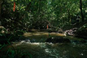 BIB: 
                            <button type="button" onclick="openModal(26783612)" class="btn btn-primary btn-sm float-right btn-popup" data-toggle="modal" data-target=".modal-high-quality">
                        <i class="fas fa-shopping-cart"></i> Add to Cart
                    </button>
                                            <button type="button" onclick="isThisMe(26783612, true)" class="btn btn-success btn-sm float-right btn-popup btn-isme hidden" data-toggle="tooltip" data-placement="bottom" title="นี่คือรูปของคุณใช่ไหม คลิกที่นี่เพื่อเอาเข้าอัลบั้ม">
                        <i class="fas fa-plus"></i> Add to album
                    </button>
                    <button type="button" onclick="isThisMe(26783612, false)" class="btn btn-warning btn-sm float-right btn-popup btn-isnotme hidden">
                        <i class="fas fa-ban"></i> Remove from album
                    </button>