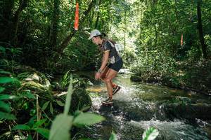 BIB: 
                            <button type="button" onclick="openModal(26653417)" class="btn btn-primary btn-sm float-right btn-popup" data-toggle="modal" data-target=".modal-high-quality">
                        <i class="fas fa-shopping-cart"></i> Add to Cart
                    </button>
                                            <button type="button" onclick="isThisMe(26653417, true)" class="btn btn-success btn-sm float-right btn-popup btn-isme hidden" data-toggle="tooltip" data-placement="bottom" title="นี่คือรูปของคุณใช่ไหม คลิกที่นี่เพื่อเอาเข้าอัลบั้ม">
                        <i class="fas fa-plus"></i> Add to album
                    </button>
                    <button type="button" onclick="isThisMe(26653417, false)" class="btn btn-warning btn-sm float-right btn-popup btn-isnotme hidden">
                        <i class="fas fa-ban"></i> Remove from album
                    </button>