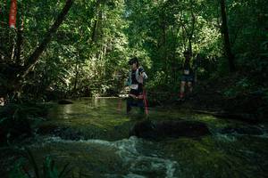 BIB: 
                            <button type="button" onclick="openModal(26784726)" class="btn btn-primary btn-sm float-right btn-popup" data-toggle="modal" data-target=".modal-high-quality">
                        <i class="fas fa-shopping-cart"></i> Add to Cart
                    </button>
                                            <button type="button" onclick="isThisMe(26784726, true)" class="btn btn-success btn-sm float-right btn-popup btn-isme hidden" data-toggle="tooltip" data-placement="bottom" title="นี่คือรูปของคุณใช่ไหม คลิกที่นี่เพื่อเอาเข้าอัลบั้ม">
                        <i class="fas fa-plus"></i> Add to album
                    </button>
                    <button type="button" onclick="isThisMe(26784726, false)" class="btn btn-warning btn-sm float-right btn-popup btn-isnotme hidden">
                        <i class="fas fa-ban"></i> Remove from album
                    </button>