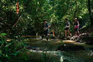 BIB: 
                            <button type="button" onclick="openModal(26783746)" class="btn btn-primary btn-sm float-right btn-popup" data-toggle="modal" data-target=".modal-high-quality">
                        <i class="fas fa-shopping-cart"></i> Add to Cart
                    </button>
                                            <button type="button" onclick="isThisMe(26783746, true)" class="btn btn-success btn-sm float-right btn-popup btn-isme hidden" data-toggle="tooltip" data-placement="bottom" title="นี่คือรูปของคุณใช่ไหม คลิกที่นี่เพื่อเอาเข้าอัลบั้ม">
                        <i class="fas fa-plus"></i> Add to album
                    </button>
                    <button type="button" onclick="isThisMe(26783746, false)" class="btn btn-warning btn-sm float-right btn-popup btn-isnotme hidden">
                        <i class="fas fa-ban"></i> Remove from album
                    </button>