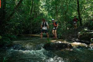 BIB: 
                            <button type="button" onclick="openModal(26778869)" class="btn btn-primary btn-sm float-right btn-popup" data-toggle="modal" data-target=".modal-high-quality">
                        <i class="fas fa-shopping-cart"></i> Add to Cart
                    </button>
                                            <button type="button" onclick="isThisMe(26778869, true)" class="btn btn-success btn-sm float-right btn-popup btn-isme hidden" data-toggle="tooltip" data-placement="bottom" title="นี่คือรูปของคุณใช่ไหม คลิกที่นี่เพื่อเอาเข้าอัลบั้ม">
                        <i class="fas fa-plus"></i> Add to album
                    </button>
                    <button type="button" onclick="isThisMe(26778869, false)" class="btn btn-warning btn-sm float-right btn-popup btn-isnotme hidden">
                        <i class="fas fa-ban"></i> Remove from album
                    </button>