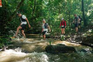 BIB: 
                            <button type="button" onclick="openModal(26782683)" class="btn btn-primary btn-sm float-right btn-popup" data-toggle="modal" data-target=".modal-high-quality">
                        <i class="fas fa-shopping-cart"></i> Add to Cart
                    </button>
                                            <button type="button" onclick="isThisMe(26782683, true)" class="btn btn-success btn-sm float-right btn-popup btn-isme hidden" data-toggle="tooltip" data-placement="bottom" title="นี่คือรูปของคุณใช่ไหม คลิกที่นี่เพื่อเอาเข้าอัลบั้ม">
                        <i class="fas fa-plus"></i> Add to album
                    </button>
                    <button type="button" onclick="isThisMe(26782683, false)" class="btn btn-warning btn-sm float-right btn-popup btn-isnotme hidden">
                        <i class="fas fa-ban"></i> Remove from album
                    </button>