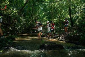 BIB: 
                            <button type="button" onclick="openModal(26783692)" class="btn btn-primary btn-sm float-right btn-popup" data-toggle="modal" data-target=".modal-high-quality">
                        <i class="fas fa-shopping-cart"></i> Add to Cart
                    </button>
                                            <button type="button" onclick="isThisMe(26783692, true)" class="btn btn-success btn-sm float-right btn-popup btn-isme hidden" data-toggle="tooltip" data-placement="bottom" title="นี่คือรูปของคุณใช่ไหม คลิกที่นี่เพื่อเอาเข้าอัลบั้ม">
                        <i class="fas fa-plus"></i> Add to album
                    </button>
                    <button type="button" onclick="isThisMe(26783692, false)" class="btn btn-warning btn-sm float-right btn-popup btn-isnotme hidden">
                        <i class="fas fa-ban"></i> Remove from album
                    </button>