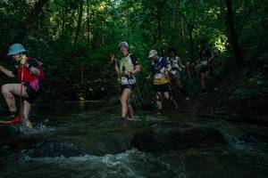 BIB: 
                            <button type="button" onclick="openModal(26785585)" class="btn btn-primary btn-sm float-right btn-popup" data-toggle="modal" data-target=".modal-high-quality">
                        <i class="fas fa-shopping-cart"></i> Add to Cart
                    </button>
                                            <button type="button" onclick="isThisMe(26785585, true)" class="btn btn-success btn-sm float-right btn-popup btn-isme hidden" data-toggle="tooltip" data-placement="bottom" title="นี่คือรูปของคุณใช่ไหม คลิกที่นี่เพื่อเอาเข้าอัลบั้ม">
                        <i class="fas fa-plus"></i> Add to album
                    </button>
                    <button type="button" onclick="isThisMe(26785585, false)" class="btn btn-warning btn-sm float-right btn-popup btn-isnotme hidden">
                        <i class="fas fa-ban"></i> Remove from album
                    </button>