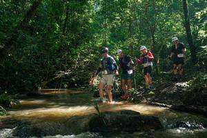 BIB: 
                            <button type="button" onclick="openModal(26782989)" class="btn btn-primary btn-sm float-right btn-popup" data-toggle="modal" data-target=".modal-high-quality">
                        <i class="fas fa-shopping-cart"></i> Add to Cart
                    </button>
                                            <button type="button" onclick="isThisMe(26782989, true)" class="btn btn-success btn-sm float-right btn-popup btn-isme hidden" data-toggle="tooltip" data-placement="bottom" title="นี่คือรูปของคุณใช่ไหม คลิกที่นี่เพื่อเอาเข้าอัลบั้ม">
                        <i class="fas fa-plus"></i> Add to album
                    </button>
                    <button type="button" onclick="isThisMe(26782989, false)" class="btn btn-warning btn-sm float-right btn-popup btn-isnotme hidden">
                        <i class="fas fa-ban"></i> Remove from album
                    </button>