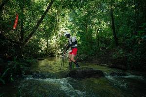 BIB: 
                            <button type="button" onclick="openModal(26784802)" class="btn btn-primary btn-sm float-right btn-popup" data-toggle="modal" data-target=".modal-high-quality">
                        <i class="fas fa-shopping-cart"></i> Add to Cart
                    </button>
                                            <button type="button" onclick="isThisMe(26784802, true)" class="btn btn-success btn-sm float-right btn-popup btn-isme hidden" data-toggle="tooltip" data-placement="bottom" title="นี่คือรูปของคุณใช่ไหม คลิกที่นี่เพื่อเอาเข้าอัลบั้ม">
                        <i class="fas fa-plus"></i> Add to album
                    </button>
                    <button type="button" onclick="isThisMe(26784802, false)" class="btn btn-warning btn-sm float-right btn-popup btn-isnotme hidden">
                        <i class="fas fa-ban"></i> Remove from album
                    </button>