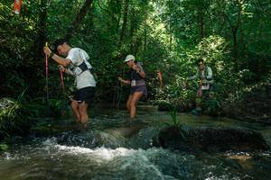 BIB: 
                            <button type="button" onclick="openModal(26778127)" class="btn btn-primary btn-sm float-right btn-popup" data-toggle="modal" data-target=".modal-high-quality">
                        <i class="fas fa-shopping-cart"></i> Add to Cart
                    </button>
                                            <button type="button" onclick="isThisMe(26778127, true)" class="btn btn-success btn-sm float-right btn-popup btn-isme hidden" data-toggle="tooltip" data-placement="bottom" title="นี่คือรูปของคุณใช่ไหม คลิกที่นี่เพื่อเอาเข้าอัลบั้ม">
                        <i class="fas fa-plus"></i> Add to album
                    </button>
                    <button type="button" onclick="isThisMe(26778127, false)" class="btn btn-warning btn-sm float-right btn-popup btn-isnotme hidden">
                        <i class="fas fa-ban"></i> Remove from album
                    </button>