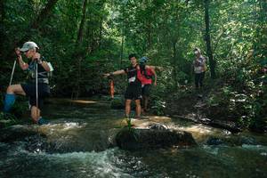 BIB: 
                            <button type="button" onclick="openModal(26779103)" class="btn btn-primary btn-sm float-right btn-popup" data-toggle="modal" data-target=".modal-high-quality">
                        <i class="fas fa-shopping-cart"></i> Add to Cart
                    </button>
                                            <button type="button" onclick="isThisMe(26779103, true)" class="btn btn-success btn-sm float-right btn-popup btn-isme hidden" data-toggle="tooltip" data-placement="bottom" title="นี่คือรูปของคุณใช่ไหม คลิกที่นี่เพื่อเอาเข้าอัลบั้ม">
                        <i class="fas fa-plus"></i> Add to album
                    </button>
                    <button type="button" onclick="isThisMe(26779103, false)" class="btn btn-warning btn-sm float-right btn-popup btn-isnotme hidden">
                        <i class="fas fa-ban"></i> Remove from album
                    </button>