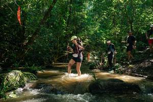 BIB: 
                            <button type="button" onclick="openModal(26782901)" class="btn btn-primary btn-sm float-right btn-popup" data-toggle="modal" data-target=".modal-high-quality">
                        <i class="fas fa-shopping-cart"></i> Add to Cart
                    </button>
                                            <button type="button" onclick="isThisMe(26782901, true)" class="btn btn-success btn-sm float-right btn-popup btn-isme hidden" data-toggle="tooltip" data-placement="bottom" title="นี่คือรูปของคุณใช่ไหม คลิกที่นี่เพื่อเอาเข้าอัลบั้ม">
                        <i class="fas fa-plus"></i> Add to album
                    </button>
                    <button type="button" onclick="isThisMe(26782901, false)" class="btn btn-warning btn-sm float-right btn-popup btn-isnotme hidden">
                        <i class="fas fa-ban"></i> Remove from album
                    </button>