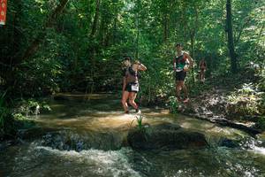 BIB: 
                            <button type="button" onclick="openModal(26781963)" class="btn btn-primary btn-sm float-right btn-popup" data-toggle="modal" data-target=".modal-high-quality">
                        <i class="fas fa-shopping-cart"></i> Add to Cart
                    </button>
                                            <button type="button" onclick="isThisMe(26781963, true)" class="btn btn-success btn-sm float-right btn-popup btn-isme hidden" data-toggle="tooltip" data-placement="bottom" title="นี่คือรูปของคุณใช่ไหม คลิกที่นี่เพื่อเอาเข้าอัลบั้ม">
                        <i class="fas fa-plus"></i> Add to album
                    </button>
                    <button type="button" onclick="isThisMe(26781963, false)" class="btn btn-warning btn-sm float-right btn-popup btn-isnotme hidden">
                        <i class="fas fa-ban"></i> Remove from album
                    </button>