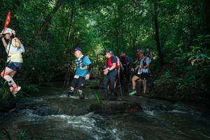 BIB: 
                            <button type="button" onclick="openModal(26786042)" class="btn btn-primary btn-sm float-right btn-popup" data-toggle="modal" data-target=".modal-high-quality">
                        <i class="fas fa-shopping-cart"></i> Add to Cart
                    </button>
                                            <button type="button" onclick="isThisMe(26786042, true)" class="btn btn-success btn-sm float-right btn-popup btn-isme hidden" data-toggle="tooltip" data-placement="bottom" title="นี่คือรูปของคุณใช่ไหม คลิกที่นี่เพื่อเอาเข้าอัลบั้ม">
                        <i class="fas fa-plus"></i> Add to album
                    </button>
                    <button type="button" onclick="isThisMe(26786042, false)" class="btn btn-warning btn-sm float-right btn-popup btn-isnotme hidden">
                        <i class="fas fa-ban"></i> Remove from album
                    </button>