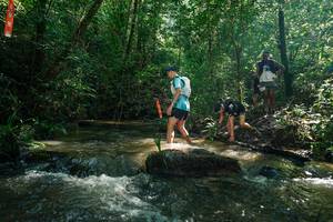 BIB: 
                            <button type="button" onclick="openModal(26779517)" class="btn btn-primary btn-sm float-right btn-popup" data-toggle="modal" data-target=".modal-high-quality">
                        <i class="fas fa-shopping-cart"></i> Add to Cart
                    </button>
                                            <button type="button" onclick="isThisMe(26779517, true)" class="btn btn-success btn-sm float-right btn-popup btn-isme hidden" data-toggle="tooltip" data-placement="bottom" title="นี่คือรูปของคุณใช่ไหม คลิกที่นี่เพื่อเอาเข้าอัลบั้ม">
                        <i class="fas fa-plus"></i> Add to album
                    </button>
                    <button type="button" onclick="isThisMe(26779517, false)" class="btn btn-warning btn-sm float-right btn-popup btn-isnotme hidden">
                        <i class="fas fa-ban"></i> Remove from album
                    </button>